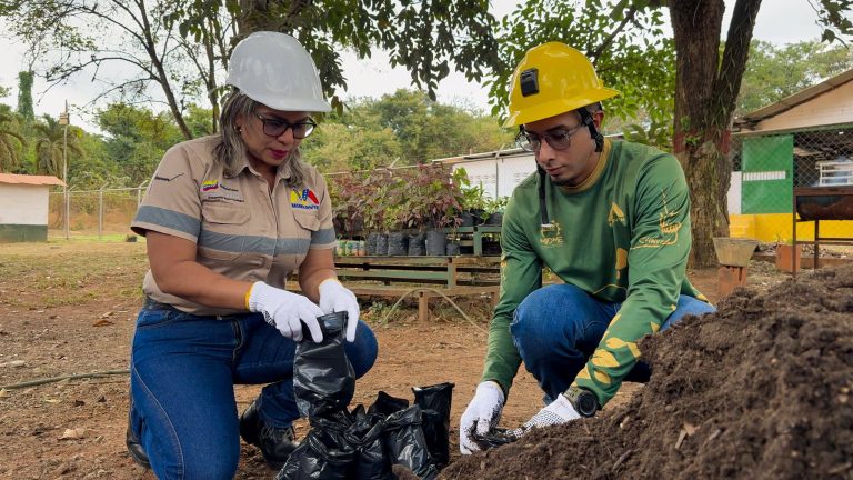 Minerven impulsa la minería ecológica con la segunda fase del Plan Nacional de Reforestación MIDMEIB 2026