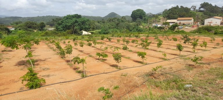Minerven Avanza Firme en la Recuperación Ambiental: Registra 60% de Progreso en el Relleno “OPEN PIT”